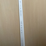 呑龍文庫 ももとせ - 