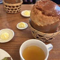 VELVET VIRGO -  VELVET VIRGO -