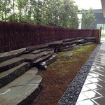 茶洒 金田中 - この暑さで、苔も少し茶色。