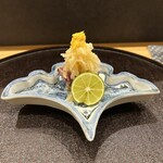 日本料理 直 - 戻り鰹のたたき　自家製塩ちり酢と刻んだ梨