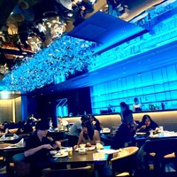 TEPPANYAKI 10 SHIBUYA - カップルや女子会が多い