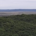 くし炉 番小屋 - 釧路湿原…お天気がいまいちでしたが近くにはタンチョウヅルが居ました！