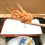 てんぷら 近藤 - 海老のおカシラは香ばしく濃厚な味