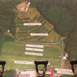 ココ・ファーム・カフェ - ココファームのぶどう品種栽培地図