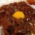 スズメバチカレー 谷町四丁目店 - 卵入りスズメバチカレー。ライス少なめ。卵は別の器で提供。ライスとルーは一度つづお代り可。最初、ライス少なめにしたら、ルーも少ない(￣▽￣)と思いましたが、ルーが辛い！ライス少なら、ルーも少なのに納得。