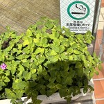 アートコーヒー - 