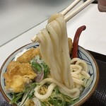 丸亀製麺 - 【2023.9.26(火)】冷タル鶏天ぶっ掛けうどん（並盛）890円→860円の麺