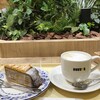 DOUTOR COFFEE - 