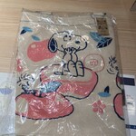 SNOOPY Chaya Karuizawa