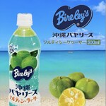 沖縄 八重山そばの店 やえすば - ドリンク写真:沖縄バヤリース　シークワーサー