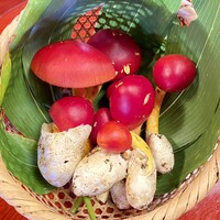 日本料理 新茶家 - 
