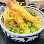 218814752 - ぶっかけ海老天うどん