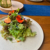 アグリスケープ - 