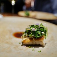 ル スプートニク - 