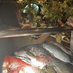 なきざかな 新宿店はなれ - 