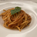 トラットリア メッツァニィノ - 完熟トマトソースのスパゲティ