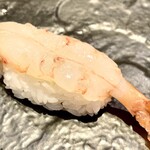 鮨榮 - ボタンエビ