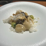 TACUBO - オレキエッテ　四川省　松茸/愛知県　銀杏