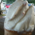 まきばのジャージー - 融けてきたので急いで食べたので、最初に写真を撮り忘れて・・・しかもピンボケ。