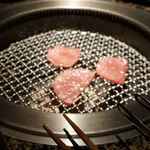 うしごろ 貫 - 各種内臓肉と思われる部位や