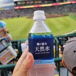 HANSHIN KOSHIEN STADIUM - 