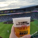 HANSHIN KOSHIEN STADIUM - 