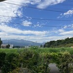 ウッディベア - 