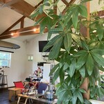 ウッディベア - 