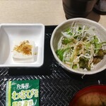 魚肴酒場 よし乃 - 小鉢(冷奴)、サラダ ♪