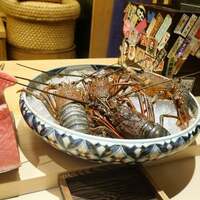 鮨 さえ喜 - 伊勢海老