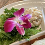 h ALOHA TABLE - 