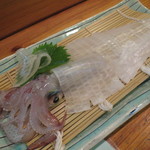 味処 大丸 - イカの姿造り 1800円～、刺身醤油と山葵でいただきましょう