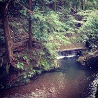 うかい鳥山 - 