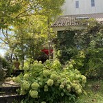 プティ ラパン - 