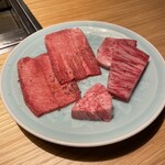 TANAKA YAKINIKU RESTAURANTE - 塩焼物(タン､サーロイン､ヒレ)