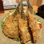 山陰ゆかりのあじ 郷音 - 