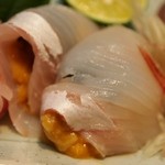 鮨半 - 平目 雲丹巻き