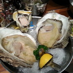 Oyster Bar ジャックポット - 特大牡蠣！