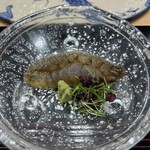 鮨旬美西川 - シャコ刺身