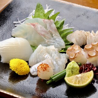 【아카시의 천연 생선】 “순” 이상의 맛을 전달