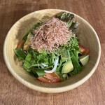아보카도와 일본식 샐러드