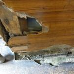 らーめん ぺぺ - 店内はこんな感じでハッキリ言って汚いです。