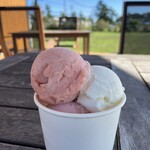 Gelateria Mina Pieno  - 料理写真:トリプル /450  苺・桃・ミルク　