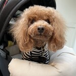 TASTY PLACE THE DINING - 満足そうなシェリ♪