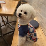 サッカバッカ - 早速接客しに来たよ～ｗ