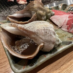 炉ばた ちどり - つぶ貝うますぎ。絶対頼むべき。