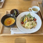 TORI MARCHE TAKACHO - 