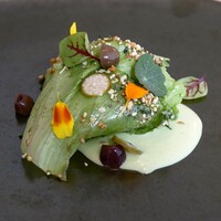 COCCHI - 