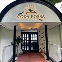 CODA ROSSA - 