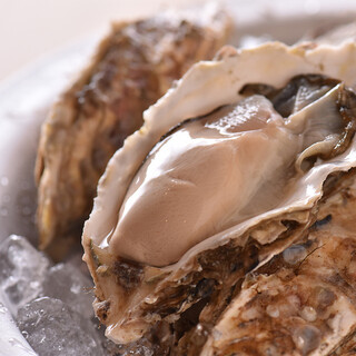 比较北海道牡蛎的味道！